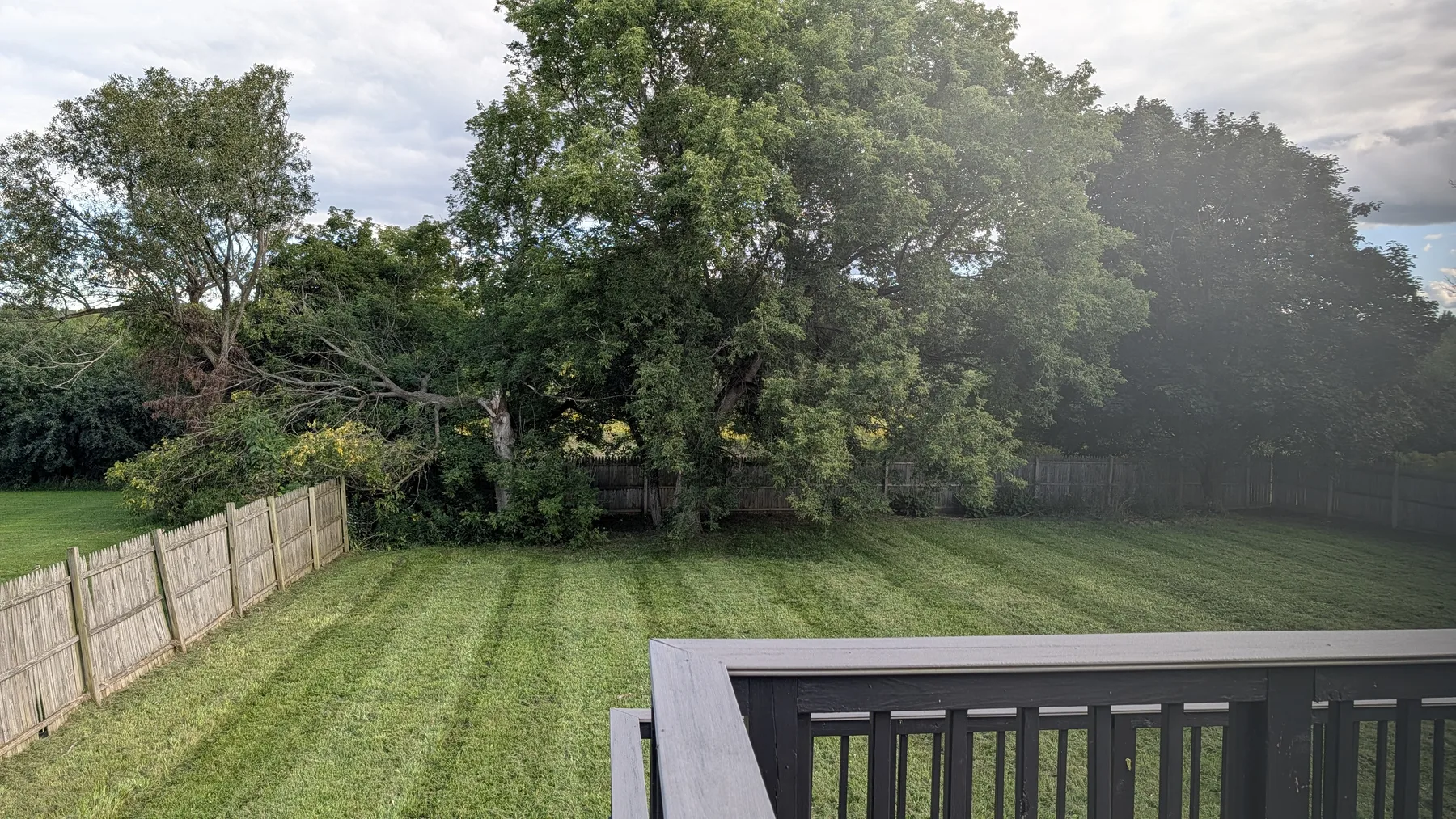 Backyard mowed and edged