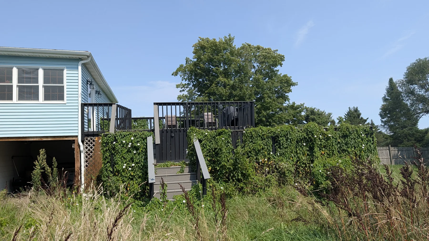 Deck obscured by vegetation