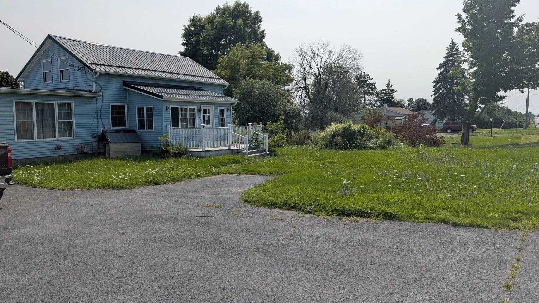 Front yard overgrowth