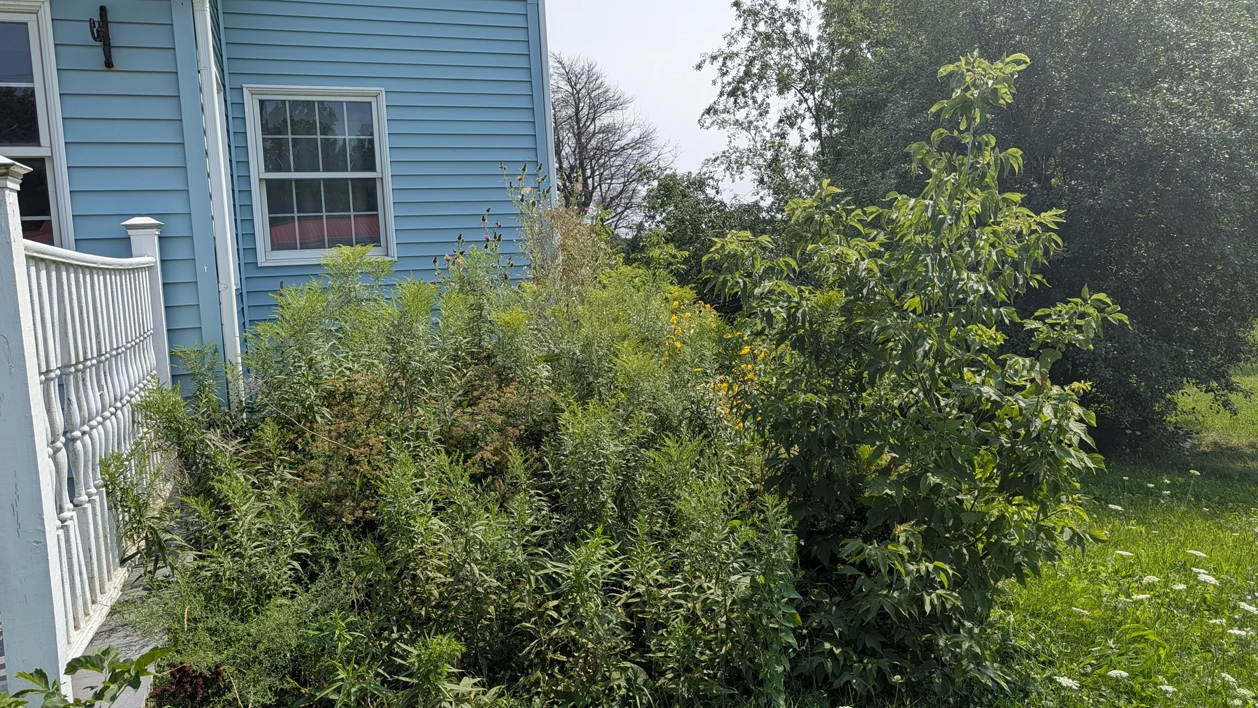 Unmanaged side brush